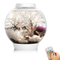 biOrb Classic 15L / 4 Gallon All-in-One Acrylic Aquarium Kit with Multicolor Light White