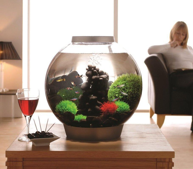 biOrb Classic 30L / 8 Gallon All-in-One Acrylic Aquarium Kit with Multicolor Light