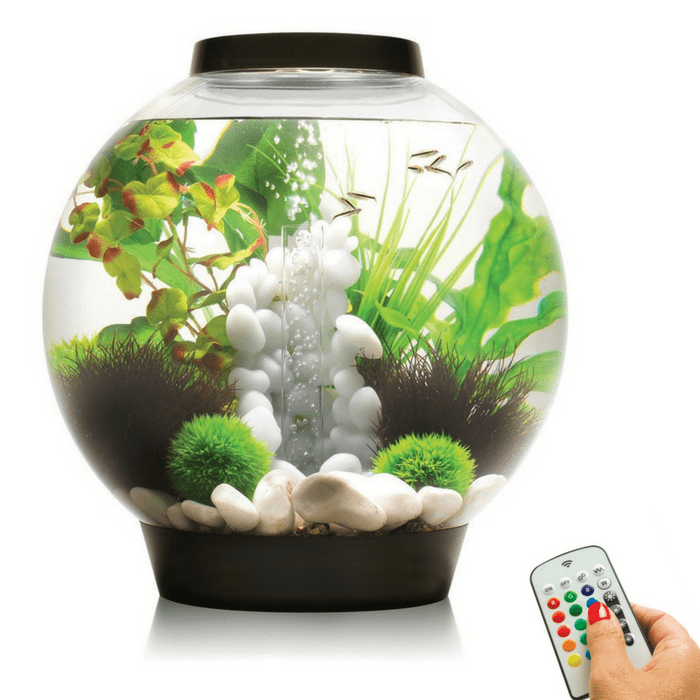 biOrb Classic 30L / 8 Gallon All-in-One Acrylic Aquarium Kit with Multicolor Light