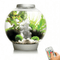 biOrb Classic 30L / 8 Gallon All-in-One Acrylic Aquarium Kit with Multicolor Light