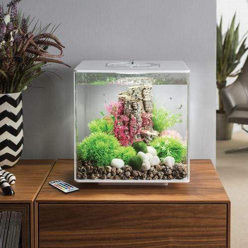 biOrb Cube 30L / 8 Gallon All-in-One Acrylic Aquarium Kit with Multicolor Light