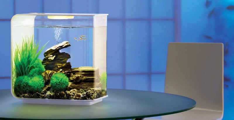biOrb Flow 15L / 4 Gallon All-in-One Acrylic Aquarium Kit with Multicolor Light