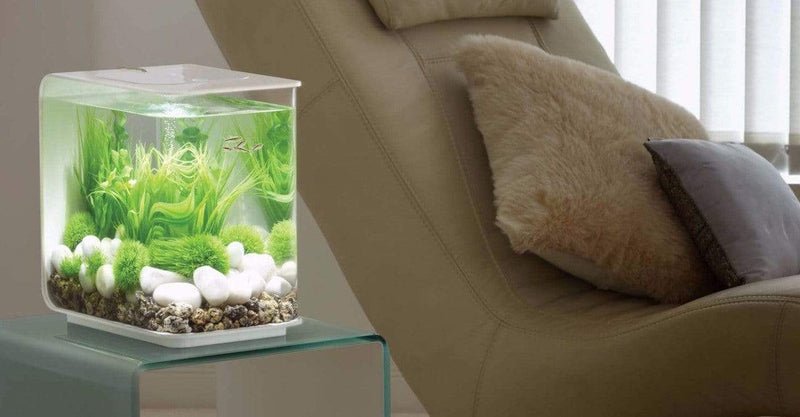 biOrb Flow 15L / 4 Gallon All-in-One Acrylic Aquarium Kit with Multicolor Light