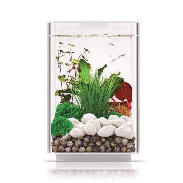biOrb Flow 30L / 8 Gallon All-in-One Acrylic Aquarium Kit with Multicolor Light