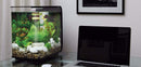 biOrb Flow 30L / 8 Gallon All-in-One Acrylic Aquarium Kit with Multicolor Light