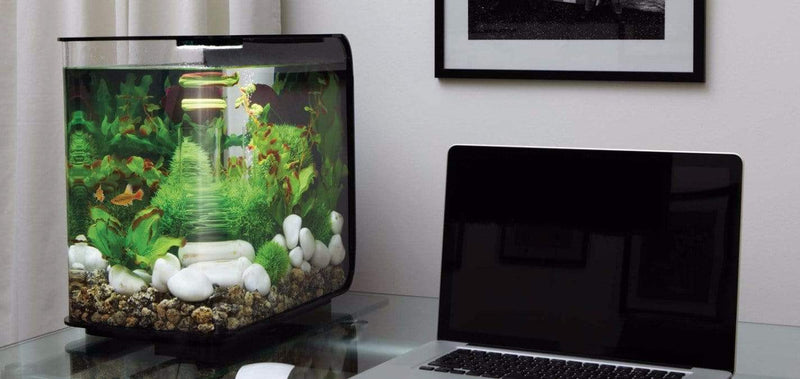 biOrb Flow 30L / 8 Gallon All-in-One Acrylic Aquarium Kit with Multicolor Light