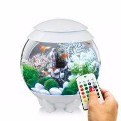 biOrb Halo 15L / 4 Gallon All-in-One Acrylic Aquarium Kit with Multicolor Light White