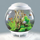 biOrb Halo 60L / 16 Gallon All-in-One Acrylic Aquarium Kit with Multicolor Light