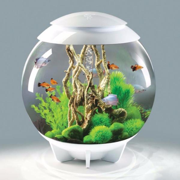 biOrb Halo 60L / 16 Gallon All-in-One Acrylic Aquarium Kit with Multicolor Light