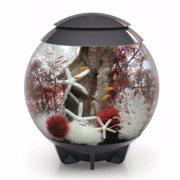 biOrb Halo 60L / 16 Gallon All-in-One Acrylic Aquarium Kit with Multicolor Light