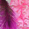 biOrb Kelp Aquarium Plants - Pink