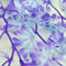 biOrb Kelp Aquarium Plants - Purple