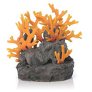 biOrb Lava Rock with Fire Coral Ornament (46123)