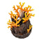 biOrb Lava Rock with Fire Coral Ornament (46123)