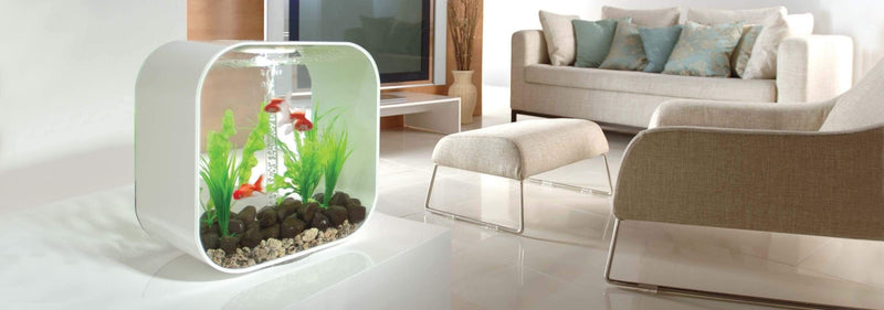 biOrb Life 30L / 8 Gallon All-in-One Acrylic Aquarium Kit with Multicolor Light