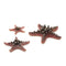 biOrb Starfish - Pink, Set of 3 (46136)