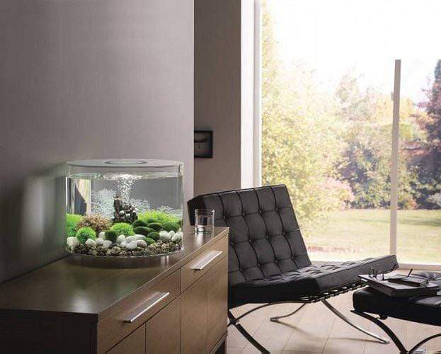 biOrb TUBE 15L / 4 Gallon Acrylic Aquarium Kit with Multicolor Light