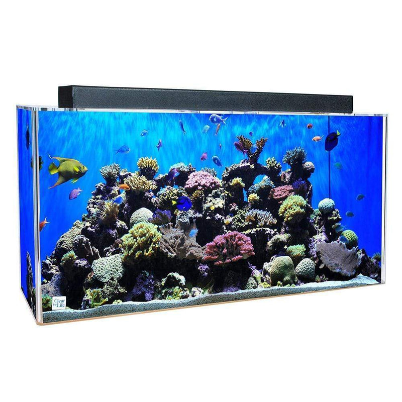 Clear for Life Rectangle 135 Gallon Acrylic Aquarium  - Fresh or Saltwater